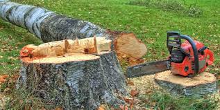 Reliable Oak Creek, WI Tree Care  Solutions